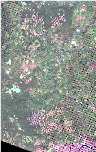 Landsat raster with 5-4-3 band combination, contrast enhancement and std. deviation