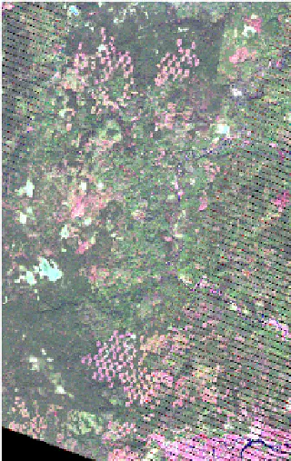 Landsat raster with 5-4-3 band combination, contrast enhancement and std. deviation