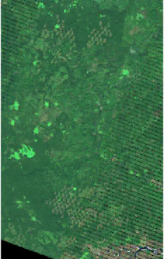 Landsat raster with 5-4-3 band combination and contrast enhancement