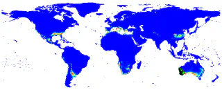 Distribution of Drosera stolonifera under future climate conditions