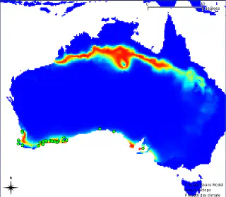 Suitable regions for Acacia cyclops in Australia